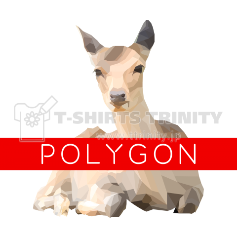 POLYGON BODY