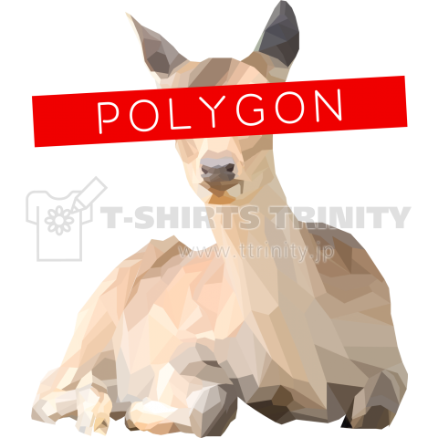 POLYGON EYE