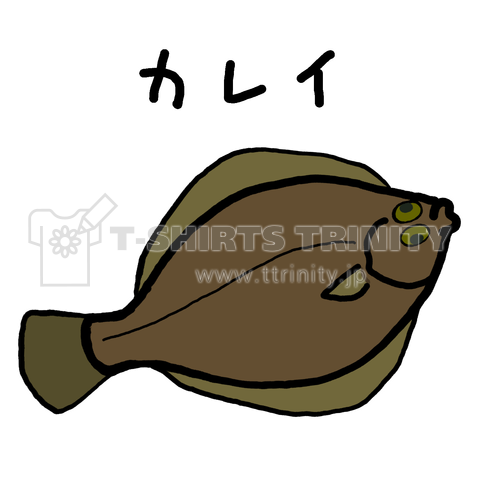 カレイ