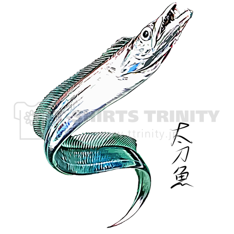 太刀魚 カラー Live Fish デザインtシャツ通販 Tシャツトリニティ