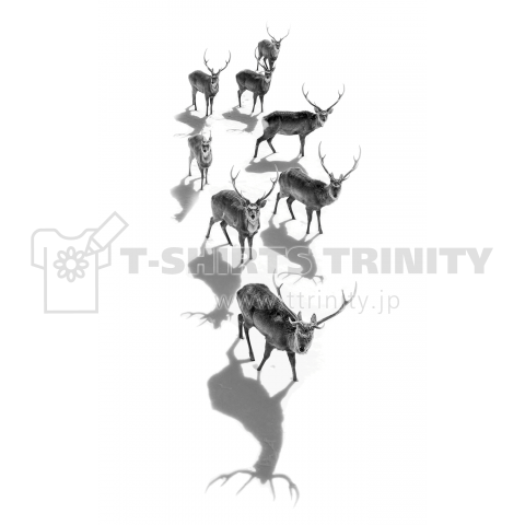 8deers