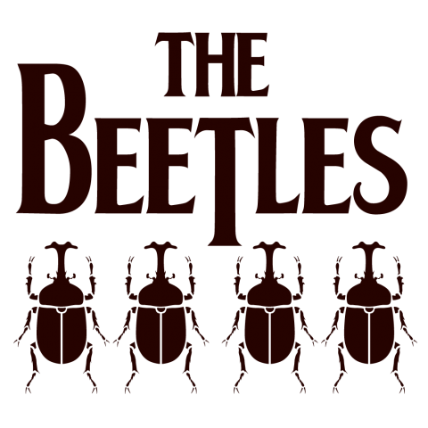 BEETLES