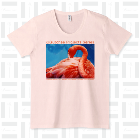 Flamingo_tsc01