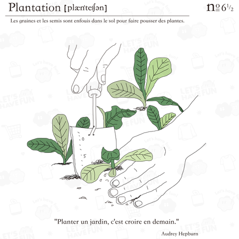 ガーデニング〜植える〜