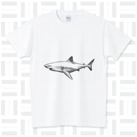 鮫 サメ