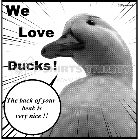 We Love Ducks!