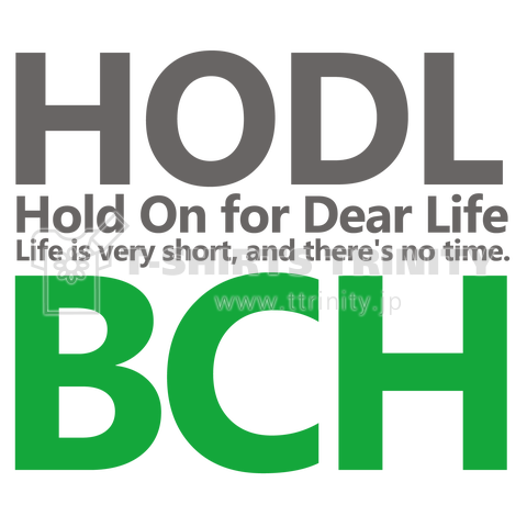 仮想通貨・コイン系【HODL-BCH】