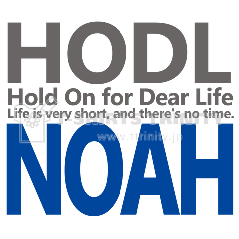 仮想通貨・コイン系【HODL-NOAH】