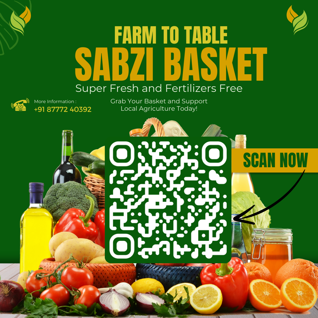 Sabzi Basket
