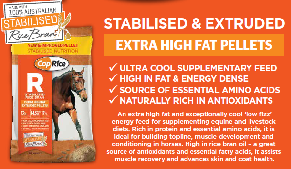 Rice Bran Oil for Horses: Benefits of Feeding for Weight Gain