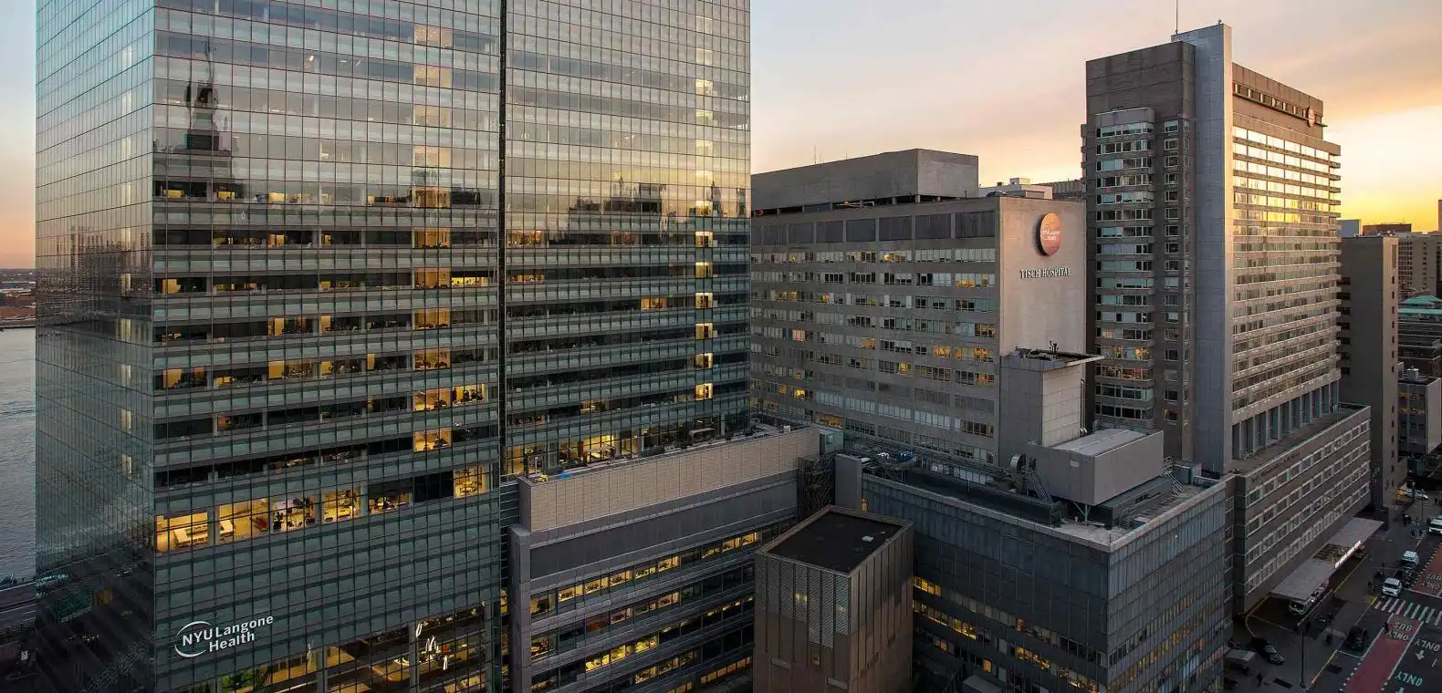 New York University Long Island School of Medicine, Mineola, NY