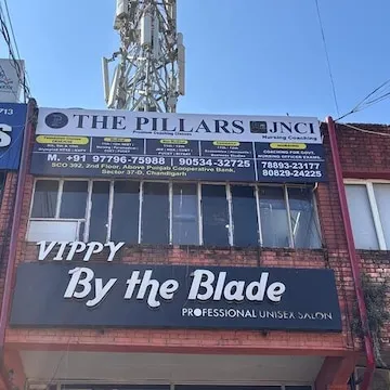 The Pillars Coaching Classes