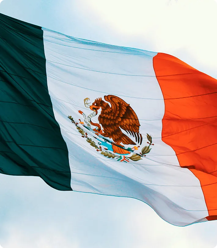 TN (Mexico) visa card