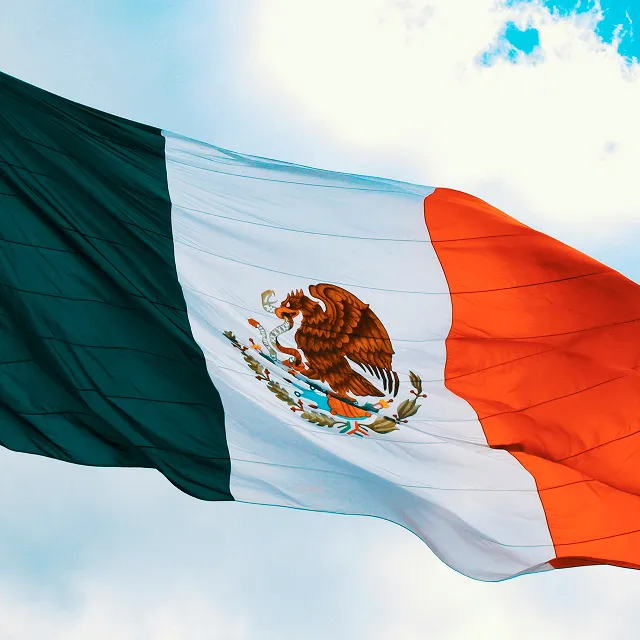 TN Mexicans visa card