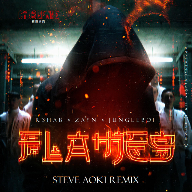 Flames (with ZAYN) [Steve Aoki Remix]