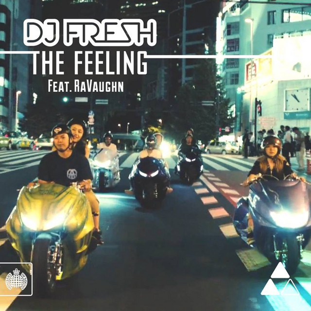 The Feeling (Remixes) (feat. RaVaughn)