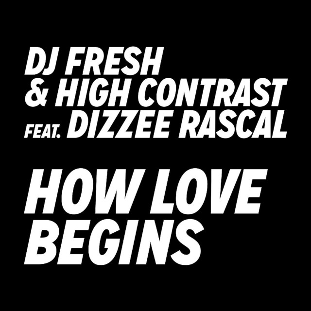 How Love Begins (feat. Dizzee Rascal) [Hardcore Will Never Die Edit]