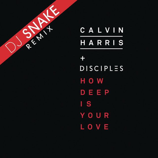 How Deep Is Your Love - DJ Snake Remix