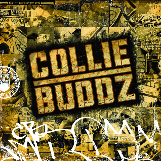 Collie Buddz