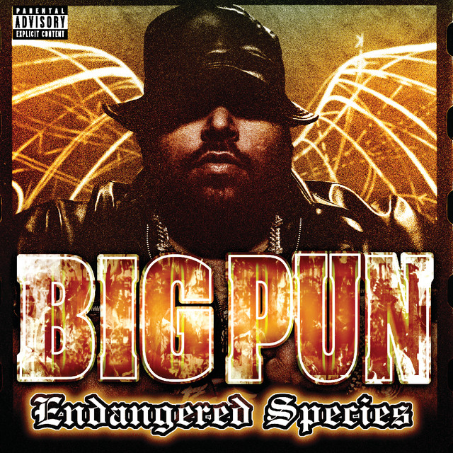 Pina Colada-Ruff Ryders featuring Big Pun and Sheik (feat. Big Pun & Sheik)