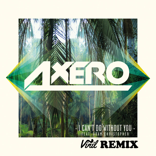 I Can't Do Without You (feat. Adam Christopher) - Vinil Remix