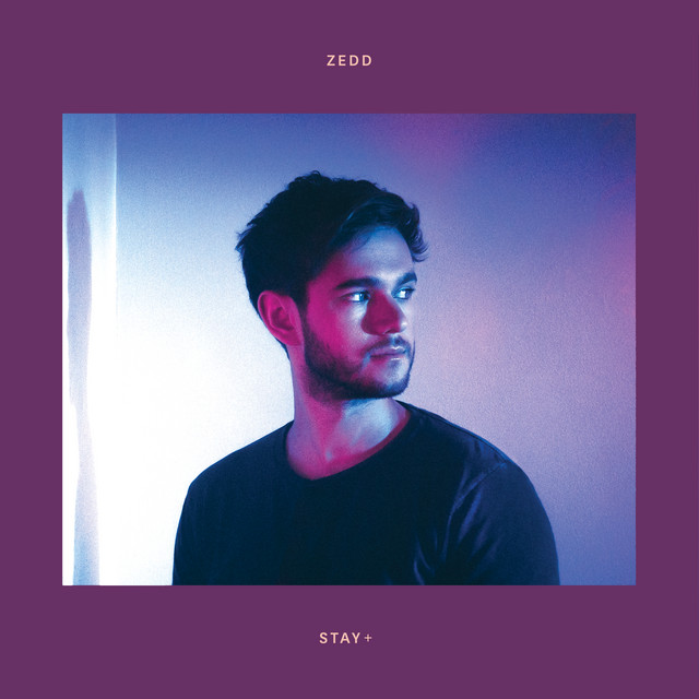 Zedd Mega Nonstop Mix