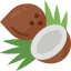 Coconut