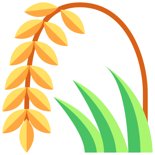 Rice