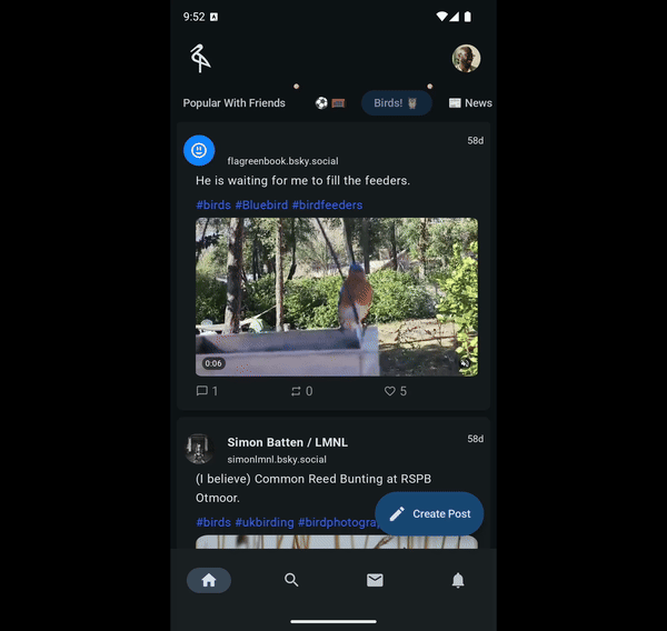 animated video shared elements