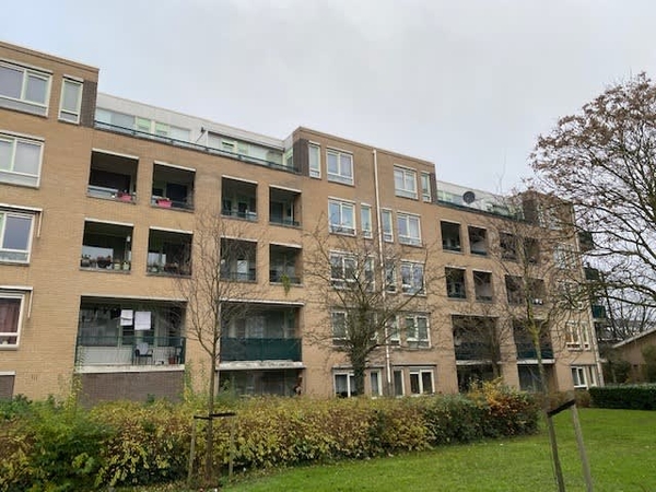 Plettenburgplantsoen 66