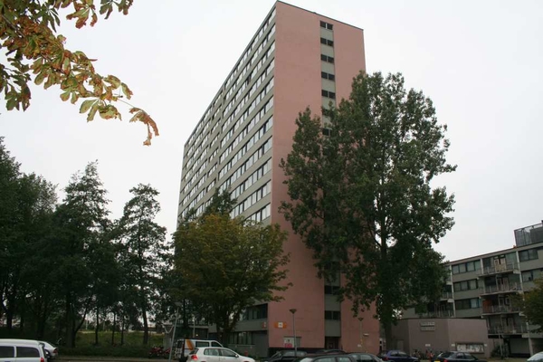 H. Cleyndertweg 167