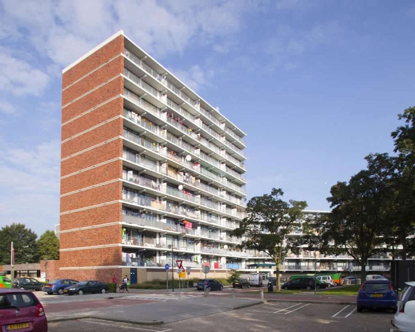 Zuiderkruis 313