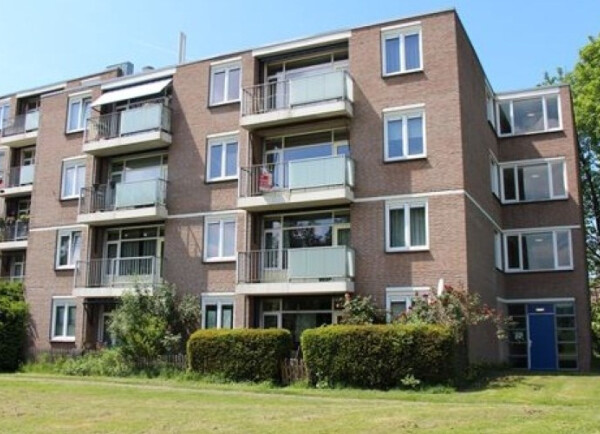 Cuyleborg