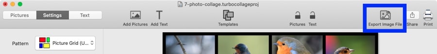 Screenshot of TurboCollage software highlighting the control to export the 7 photo collage to JPG.