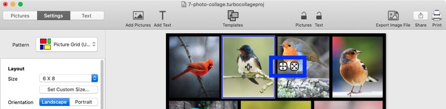 Screenshot of TurboCollage software highlighting the controls to pan and zoom a picture.