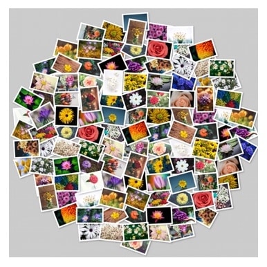 Circle shape collage - photos are arranged to form the circle shape