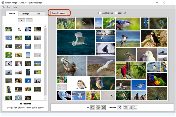 Export Png/Jpg/Tiff collage on Windows PC