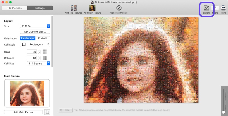 Screenshot of TurboMosaic showing how to export picture of pictures to JPEG