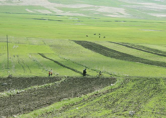 pastoral cycling