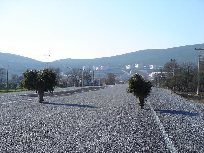 The road to Bodrum