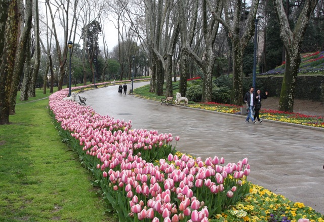 Tulips in Gulhane Park