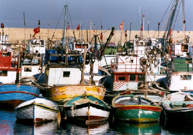 fishing boats