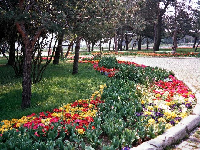 Park at Çamlıca Hill