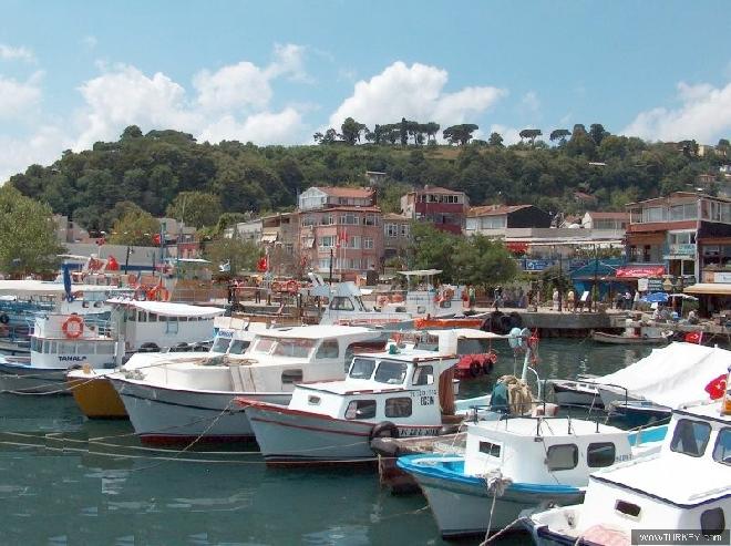 fishing boats