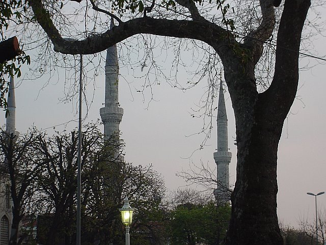 Minarets in the Distance