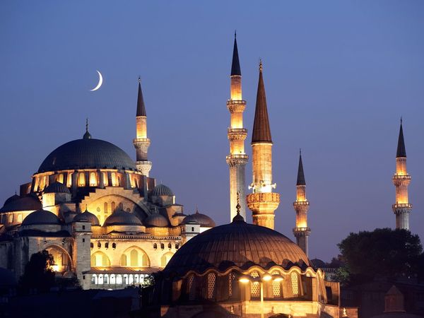 The Blue Mosque 