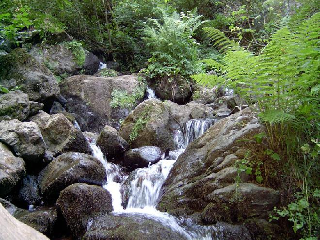 Düzce - Dere – Brook