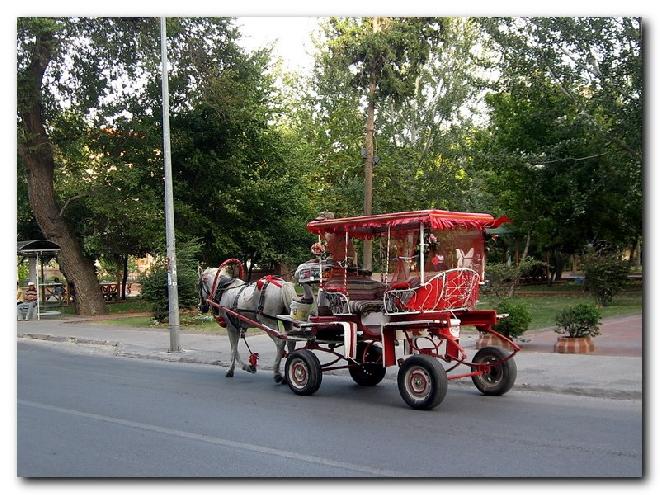 Çanakkale Fayton