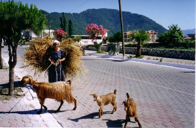 Icmeler village life