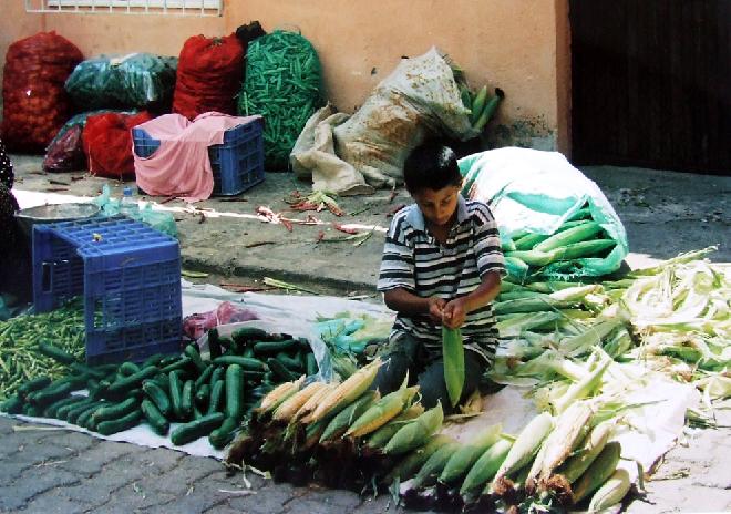 Thursday Bazaar in Aydın